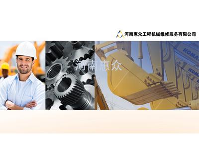 河南问鼎国际维建幼松挖掘机