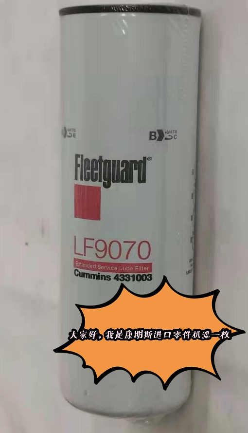 1626169986330484 1626169986330484